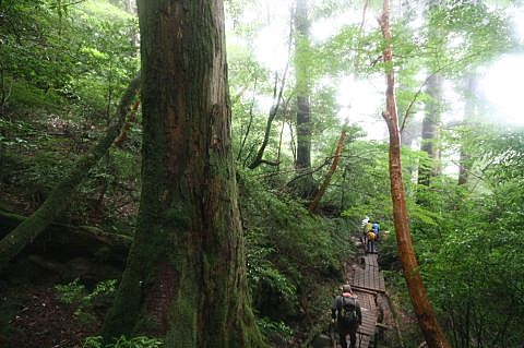 8.28.29.30.2011  屋久島 076.jpg