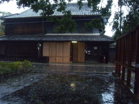 台風養生.jpg