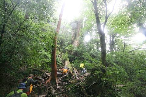 8.28.29.30.2011  屋久島 051.jpg